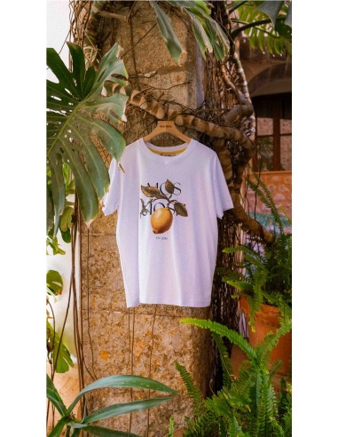 FRUIT O- CAMISETA MC.FRUTA BLANCO