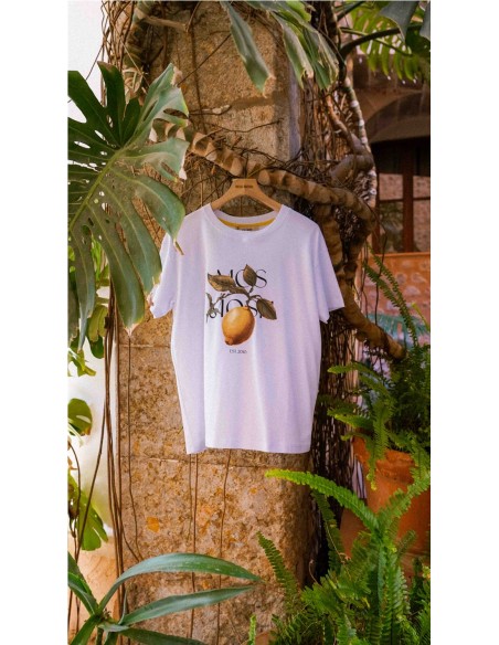 FRUIT O- CAMISETA MC.FRUTA BLANCO